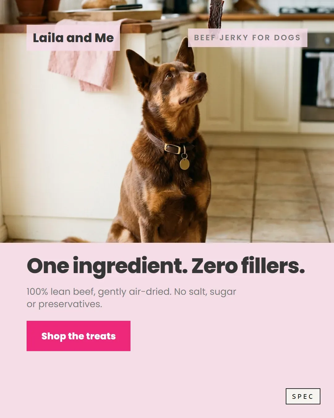 Spec concept for Laila and Me (unaffiliated, not commissioned): kelpie looking up at a strip of beef jerky in a bright kitchen, headline One ingredient. Zero fillers.