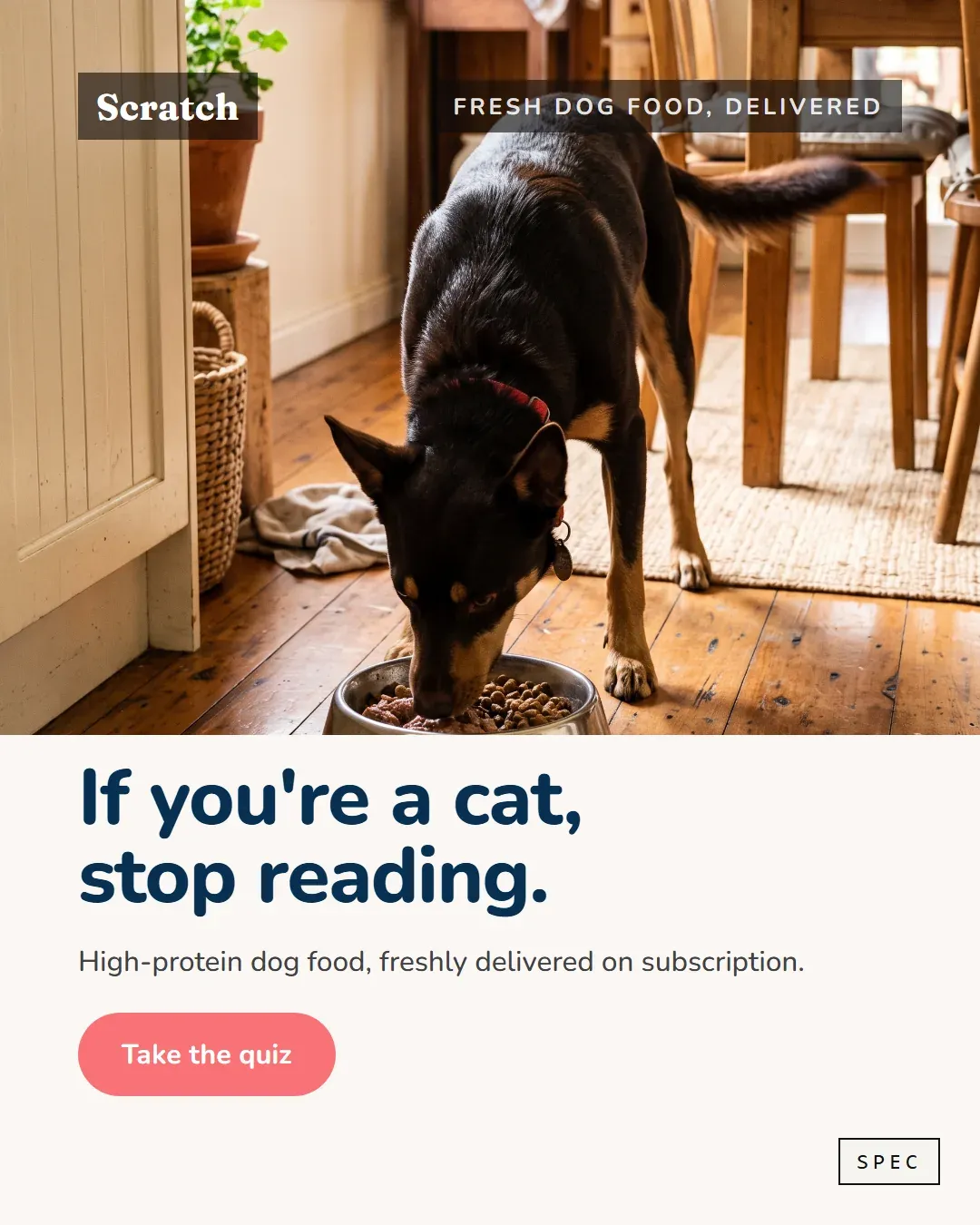 Spec concept for Scratch (unaffiliated, not commissioned): kelpie at the bowl over a cream panel, headline If you are a cat, stop reading.