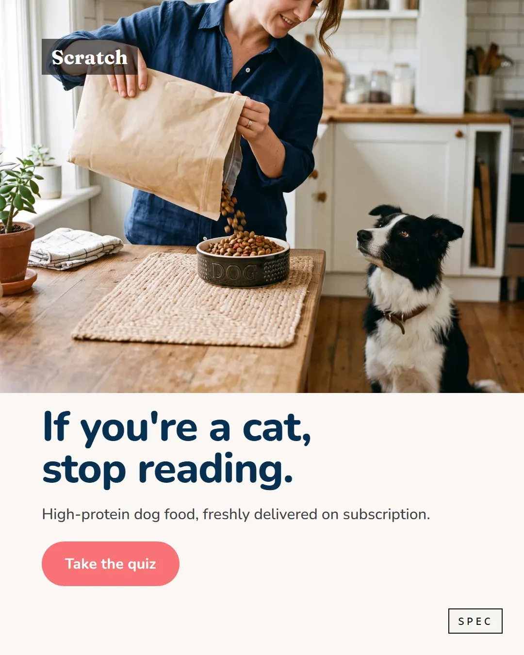 Spec concept for Scratch (unaffiliated, not commissioned): border collie waiting while a bowl is filled, headline If you are a cat, stop reading.